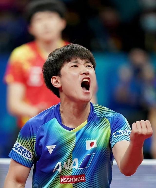 中国乒乓球队绝杀法国乒乓球队，张本智和制霸全场的简单介绍