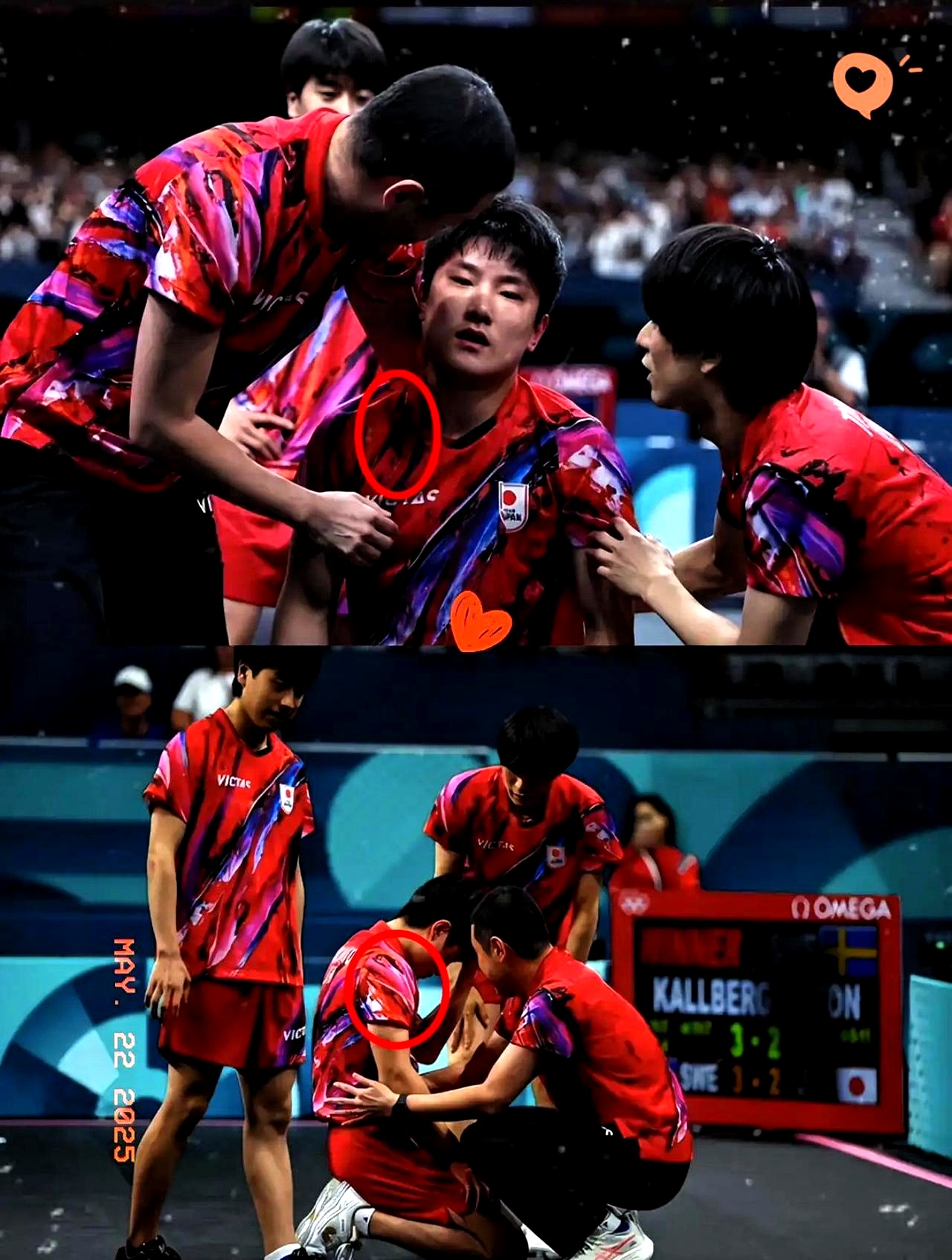 包含日本乒乓球队爆冷波兰乒乓球队，张本智和制霸全场的词条