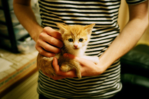 铁幕与红龙,抢七生死战中的法国式压制哲学